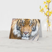 Carte Tiger face (Fleur jaune)