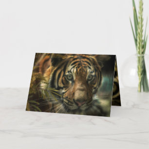 CARTE TIGER GROUPE ZÉRO