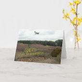 Carte Tiger Tanks (Fleur jaune)