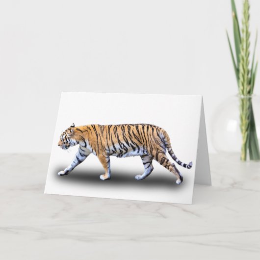 CARTE TIGER WALK (Devant)
