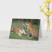Carte TigerFriends 007 (Fleur jaune)