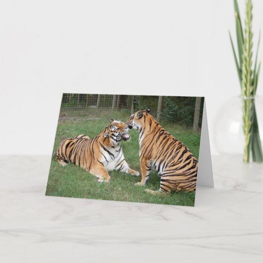 Carte TigerFriends 007 (Devant)