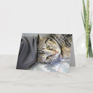 Carte Tigre