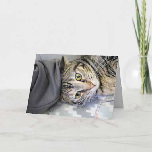 Carte Tigre (Devant)