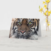 Carte Tigre (Fleur jaune)