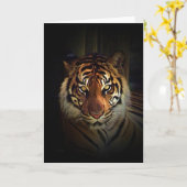 Carte Tigre (Fleur jaune)