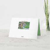 Carte Tigre (Dos)