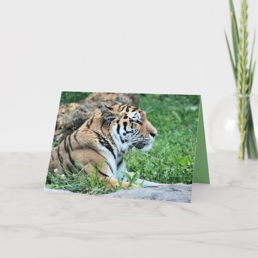 Carte Tigre (Devant)
