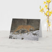Carte Tigre 8 Month Old Cub (Fleur jaune)