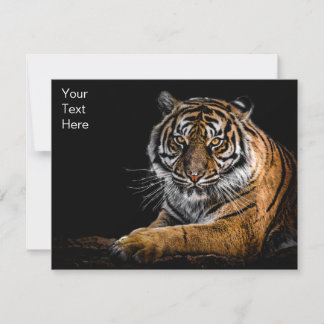 Carte Tigre animal sauvage de la Jungle
