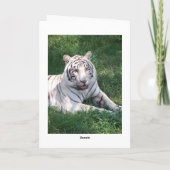 Carte Tigre blanc sur l'herbe verte image verticale (Dos)