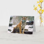 Carte Tigre dans la neige (Fleur jaune)