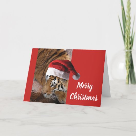 Carte Tigre du Bengale Père Noël (Devant)