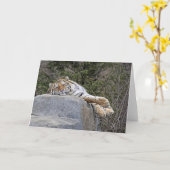 Carte Tigre "Lazy Day" (Fleur jaune)