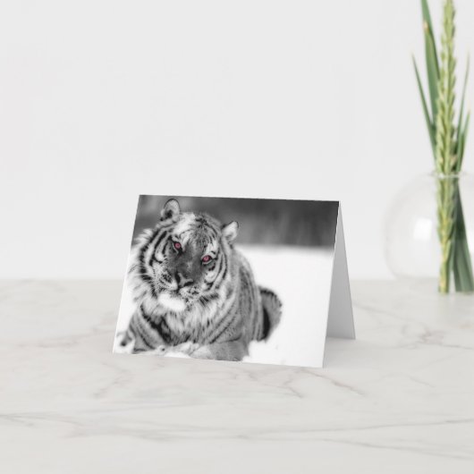Carte Tigre teinté rose (Devant)