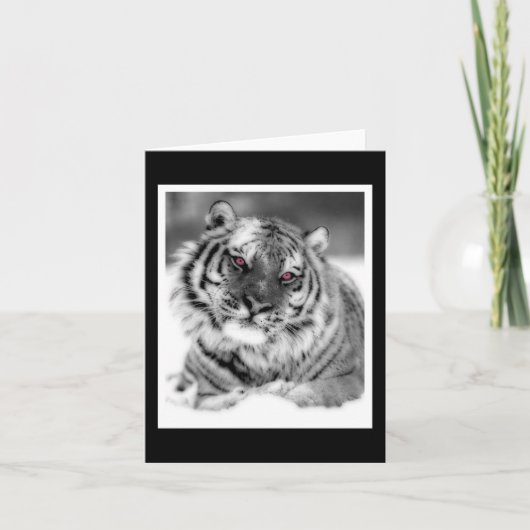 Carte Tigre teinté rose (Devant)