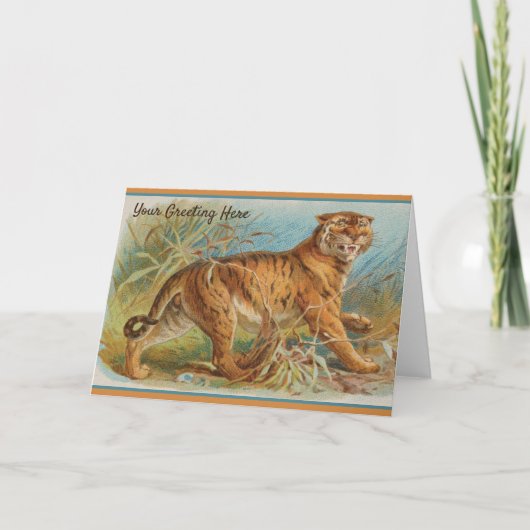Carte Tigre Vintage (Devant)