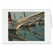 Carte Tilghman à île de Paul McGehee "canards" (Devant Horizontal)