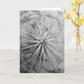 Carte Tillandsia tectorum (Fleur jaune)