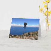 Carte tilope solitaire (Fleur jaune)