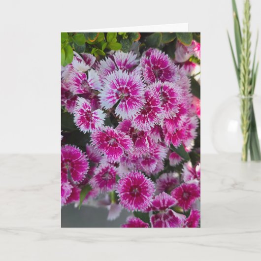 Carte Tiny Pink Flowers Blank Notecard (Devant)