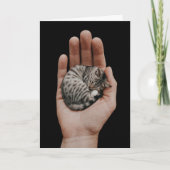 Carte Tiny Tabby (Devant)