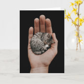 Carte Tiny Tabby (Fleur jaune)