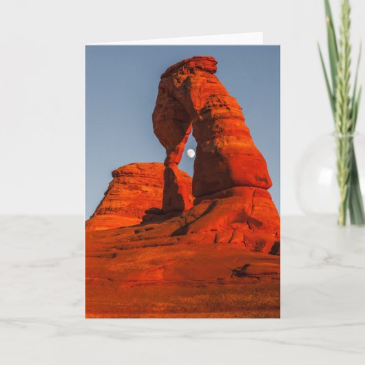 Carte Tirez la lune (Devant)