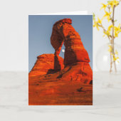 Carte Tirez la lune (Fleur jaune)