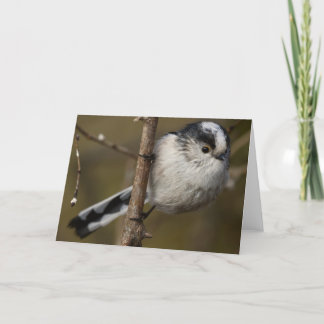 CARTE TIT TAILLÉ LONG