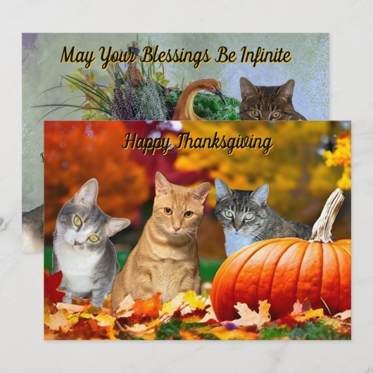 Carte Tito, Taz, and Annie's 2025 Thanksgiving Flat Card (Devant / Derrière)