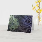 Carte Toile d'araignée roue orange (Fleur jaune)