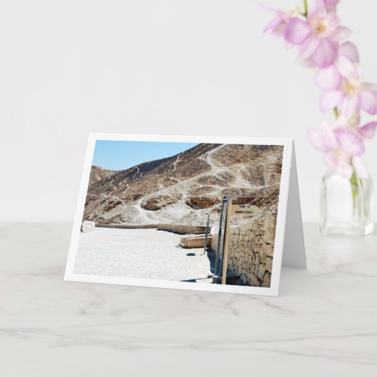 Carte Tombe de Ramsès IX, Vallée des Rois, Louxor, (Orchidée)