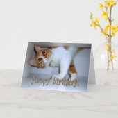 Carte Tomber dans Kitty - Joyeux Anniversaire! (Fleur jaune)