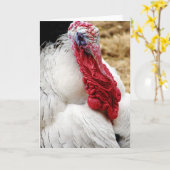 Carte Tommy (Fleur jaune)