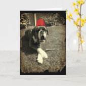 Carte Tommy Cooper (Fleur jaune)
