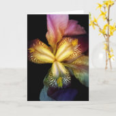 Carte Toms Irises (Fleur jaune)