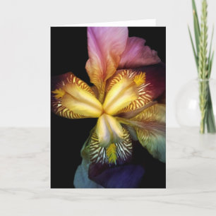 Carte Toms Irises