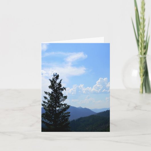 Carte Tonneaux d'été...... (Devant)