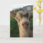 Carte Tonnerre à une semaine (Fleur jaune)