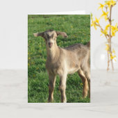 Carte Tonnerre à une semaine (Fleur jaune)