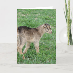 Carte Tonnerre vieux d'un jour