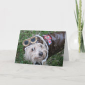 Carte Top Fête des pères de chien ou fête d'anniversaire (Devant)