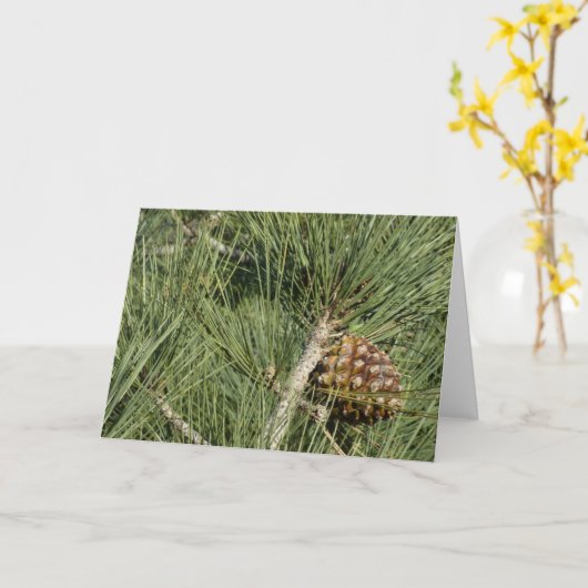 Carte Torrey Pine Closeup California Botanical (Fleur jaune)