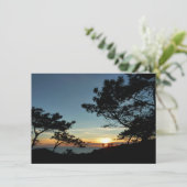 Carte Torrey Pine Sunset III Paysage californien (Debout devant)