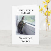 CARTE "TORTLE COMÉDIQUE DIT "TU ES VIEUX" (Fleur jaune)