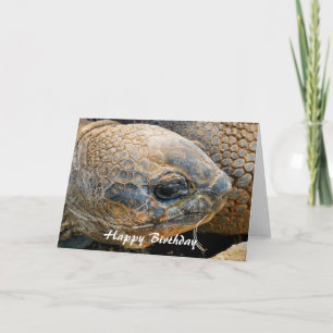 CARTE TORTOISE GÉANT