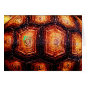 Carte Tortoiseshell (Devant horizontal)