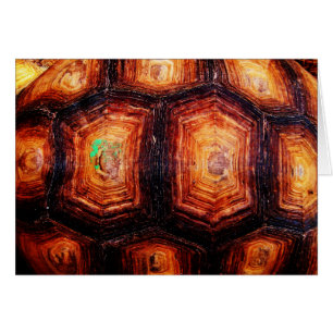 Carte Tortoiseshell