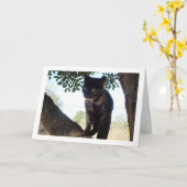 Carte Tortoiseshell Kitten in Tree (Fleur jaune)